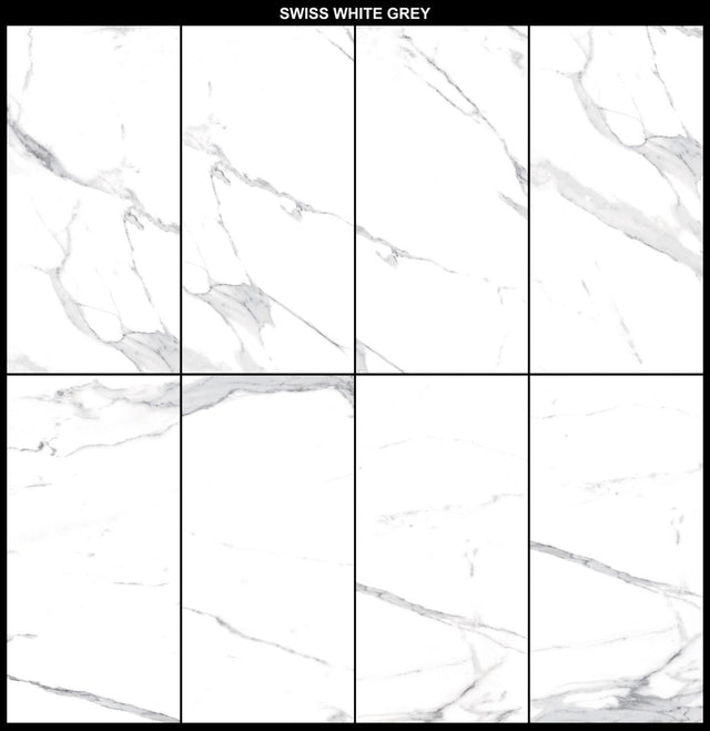 Carreau rectifié pour sol ou mur intérieur ou extérieur 60 cm x 120 cm - Swiss white grey