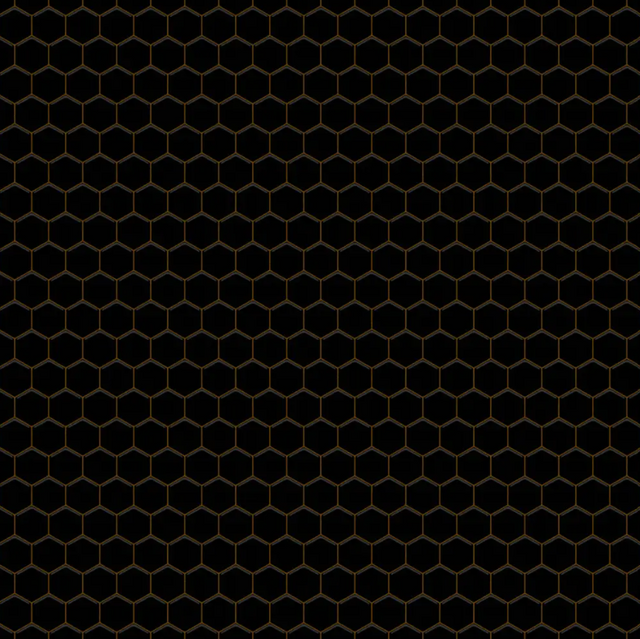 Mosaïque en céramique hexagonale sur filet pour salle de bain ou cuisine 32,3 cm x 27,7 cm - Black Honey