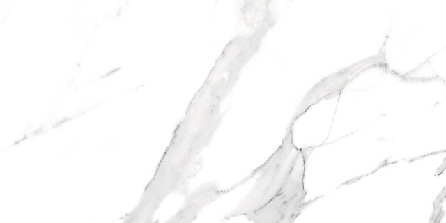 Carreau rectifié pour sol ou mur intérieur ou extérieur 60 cm x 120 cm - Swiss white grey