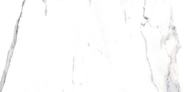 Carreau rectifié pour sol ou mur intérieur ou extérieur 60 cm x 120 cm - Swiss white grey