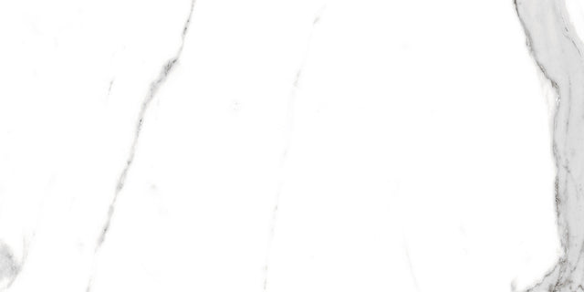 Carreau rectifié pour sol ou mur intérieur ou extérieur 60 cm x 120 cm - Swiss white grey