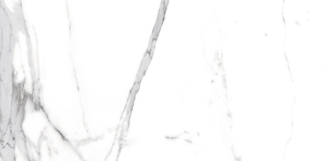 Carreau rectifié pour sol ou mur intérieur ou extérieur 60 cm x 120 cm - Swiss white grey