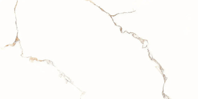 Rectified tile for indoor or outdoor floor or wall 60 cm x 120 cm - Torrence white