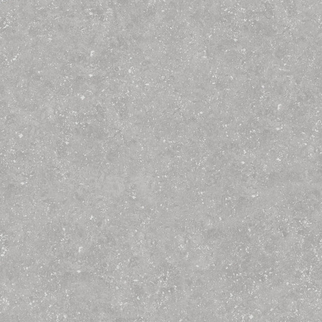 Piastrella per pavimento Bluestone light per esterno 60 x 60 cm Sp. 2cm rettificato - effetto pietra R11