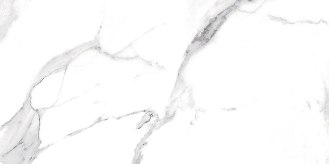 Piastrella rettificata per pavimento o parete interna 60 cm x 120 cm - Swiss White Grey
