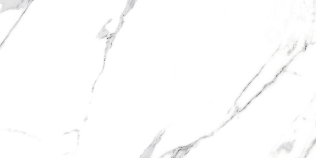 Rectified tile for floor or internal wall 60 cm x 120 cm - Swiss White Grey
